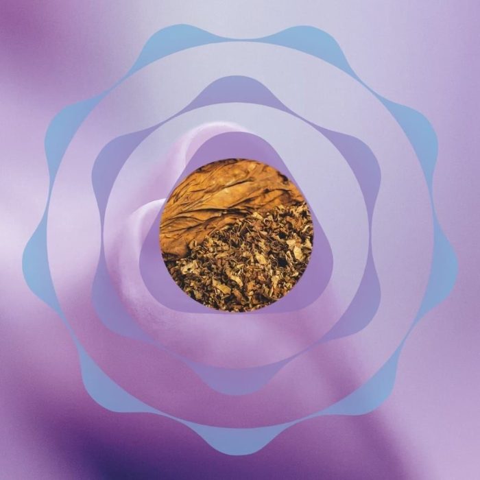 % سیگار ترا تریا ارمنی پرپل ویو Terea Purple wave